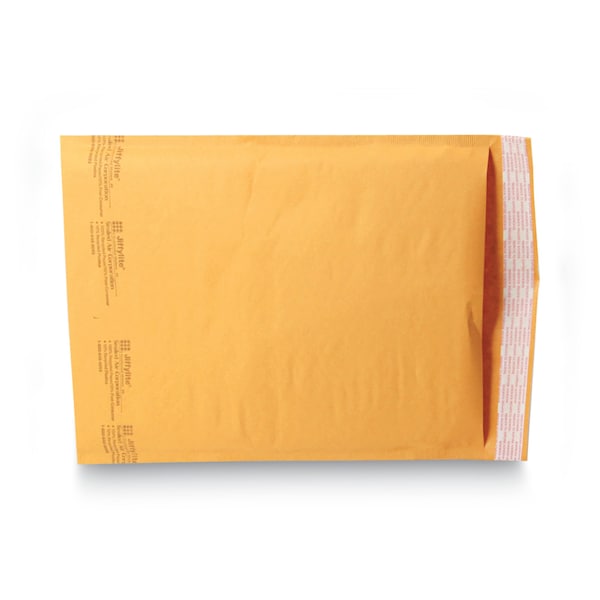 Mailer, Self-Seal, 9-1/2 x 14-1/2 in, PK100