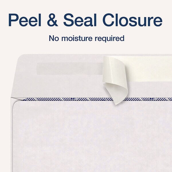 1099 Double Window Envelope, Commercial Flap, Self-Adhesive, Contemporary Seam, 3.75x8.75, Wht, PK24