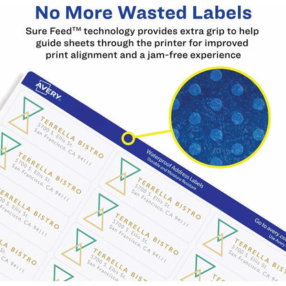 Address Labels w/TrueBlock and Sure Feed, Laser, 1.33x4, White, PK700