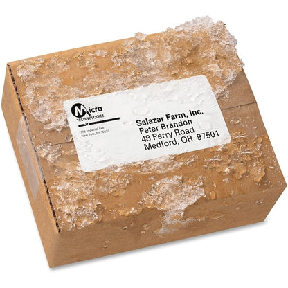 Waterproof Shipping Label w/TrueBlock/Sure Feed, Laser, 2x4, Wt, PK500