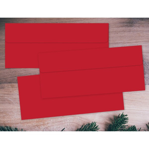 Envelope, Solid, #10 (9.5"x4.125"), PK40