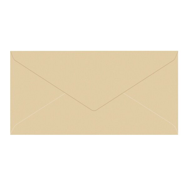 Envelope, DL, Tissue Lined, Camel, PK25
