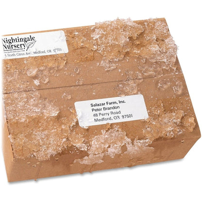 Avery® WeatherProof™ Mailing Labels with TrueBlock® Technology for Laser Printers 5524, 3-1/3" x 4", Box of 300