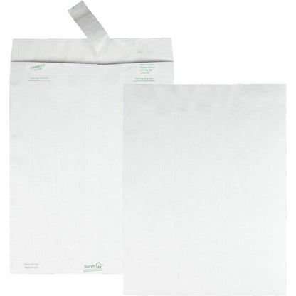 Envelope, Catalog, Pln, 10X13 Pk