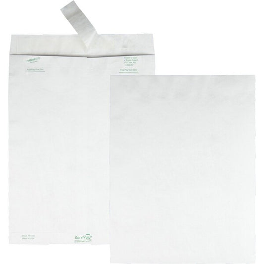Envelope, Catalog, Pln, 10X13 Pk