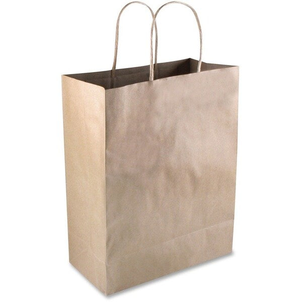Paper Shopping Bag, 13"x10", 50/BX, Brown PK