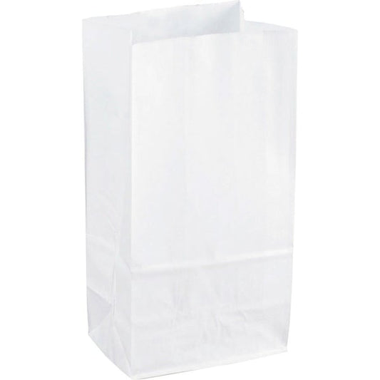 Bags, Paper, 6X11, White 100PK