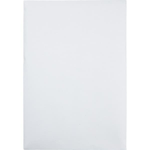 Envelope, R-Strp, Pln, 6.5X9.5 Pk