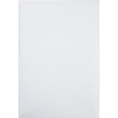 Envelope, R-Strp, Pln, 6.5X9.5 Pk