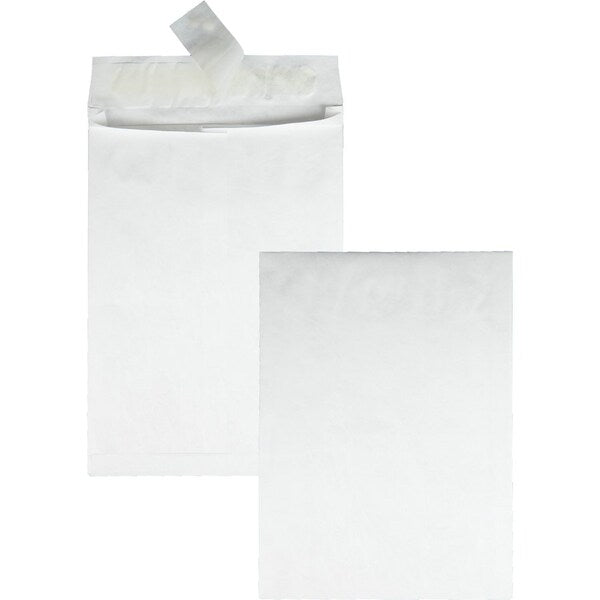 Envelope, Expansion, 12X16X2 Pk