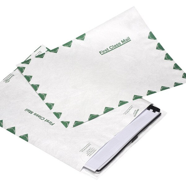 Envelope, Catlg, 1Cls, 12X15.5 Pk