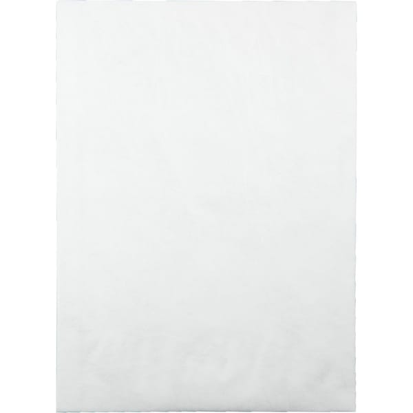Envelope, Expansion, 12X16X2 Pk