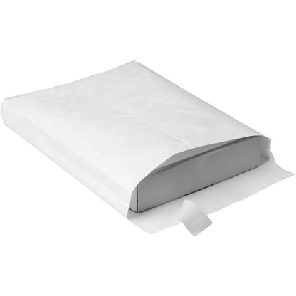 Envelope, Expansion, 12X16X2 Pk