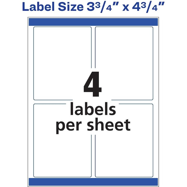 Label, Color, 3.75X4.75, We 5PK