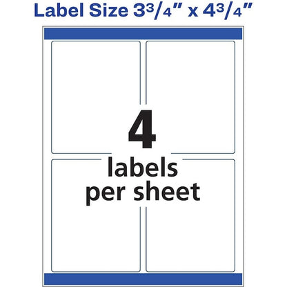 Label, Color, 3.75X4.75, We 5PK