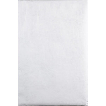 Envelope, Catalog, Pln, 10X15 Pk