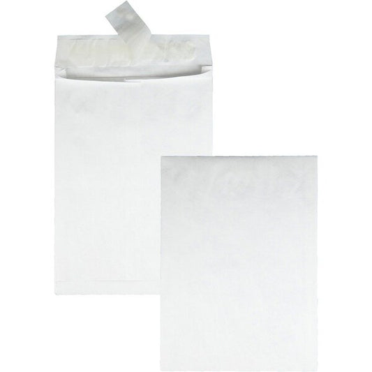 Envelope, Expansn, 10X13X1.5 Pk