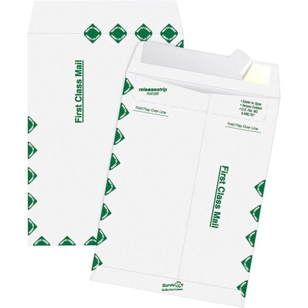 Envelope, Catlg, 1Cls, 12X15.5 Pk