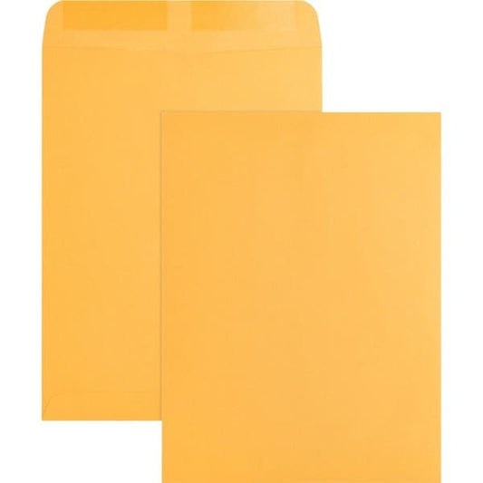 Envelope, Catalog, 9X12, Kft 250PK