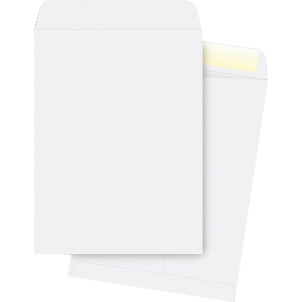 Envelope, Catalog, 10X13, We 250PK