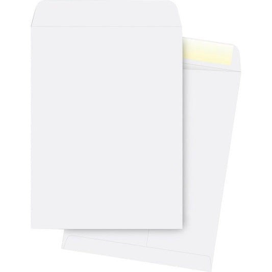 Envelope, Catalog, 10X13, We 250PK