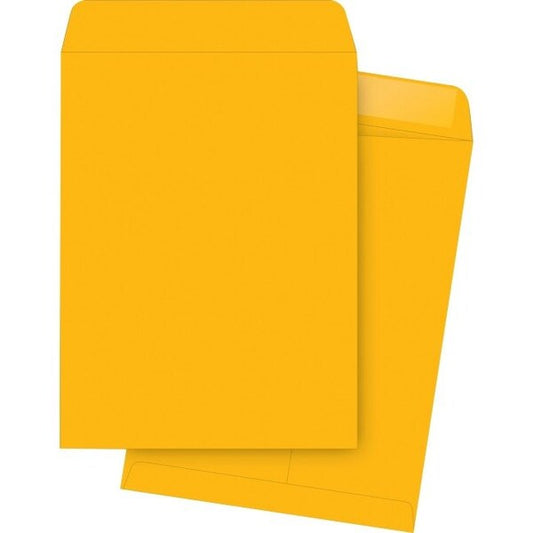 Envelope, Catalog, 9.5X12.5 2PK