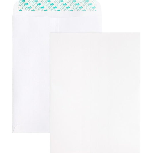 Envelope, Catlg, Selfsl, 9X12 100PK