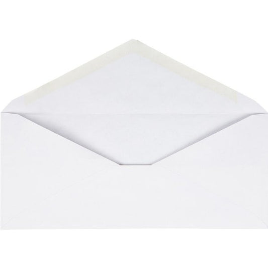 Envelope, #10, Reg, We, 250Ct 250PK
