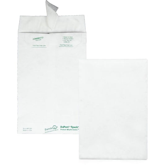 Envelope, Catalog, Plain, 6X9 Pk