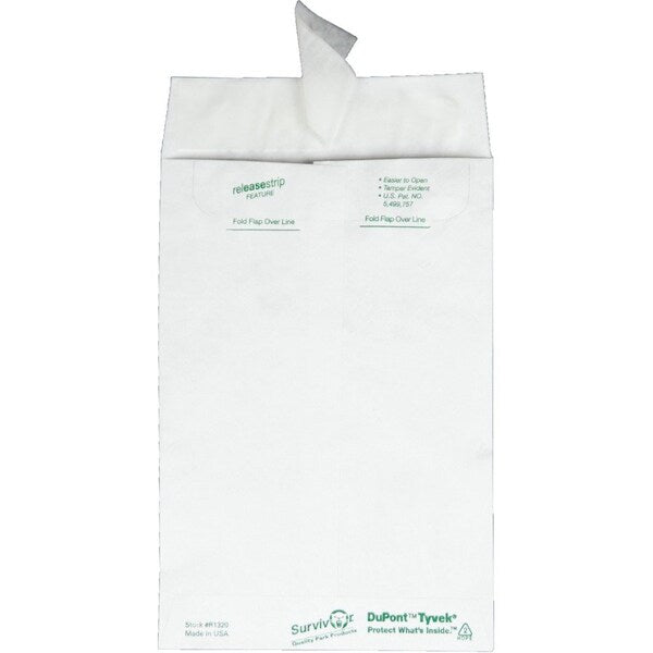 Envelope, Catalog, Plain, 6X9 Pk
