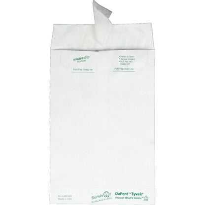 Envelope, Catalog, Plain, 6X9 Pk