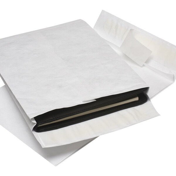 Envelope, Expansion, 12X16X2 Pk