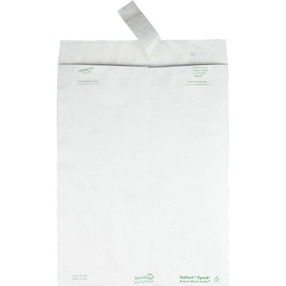 Envelope, Catalog, Pln, 10X13 Pk