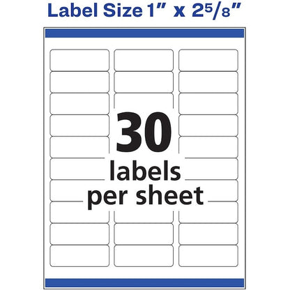 Label, Removable, Inkjt, Addrs 25PK