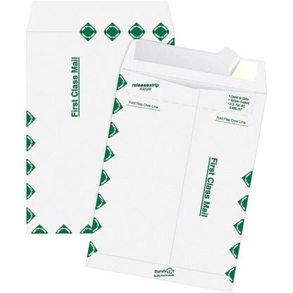 Envelope, Catlg, 1Cls, 12X15.5 Pk