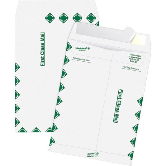 Envelope, Catlg, 1Cls, 12X15.5 Pk