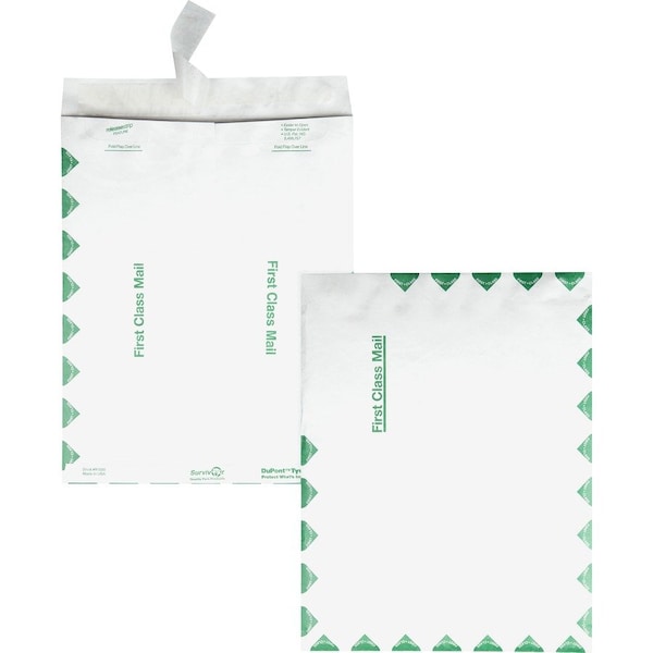 Envelope, Catlg, 1Stcls, 10X13 Pk