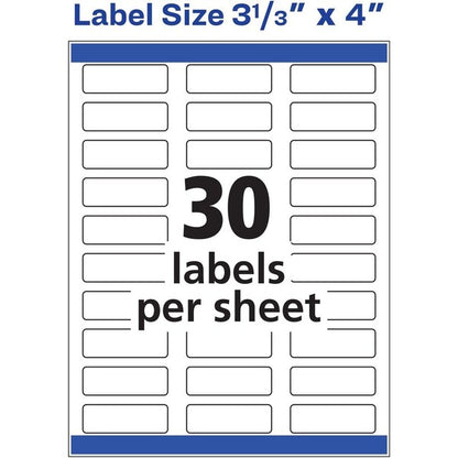 Label, Color, 3/4X2.25, We, 600 600PK