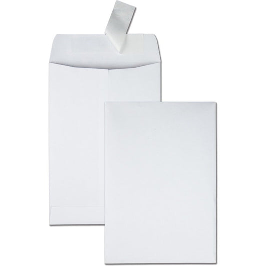 Envelope, R-Strp, Pln, 6.5X9.5 Pk