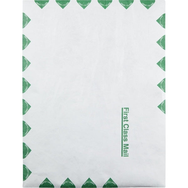 Envelope, Ctlg, 1Cls, 9.5X12.5 Pk