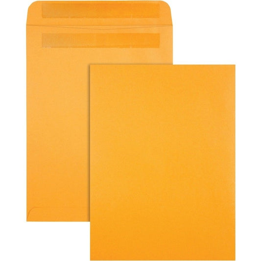 Envelope, Catalog, Kraft, 9X12 Pk