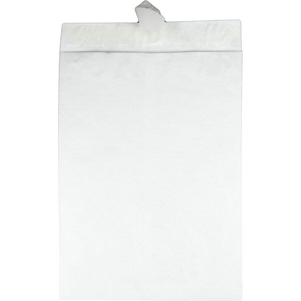 Envelope, Mailer, Jumbo, 14X20 Pk