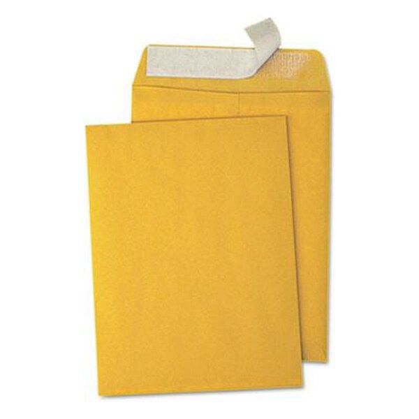Peel Seal Strip Catalog Envelope