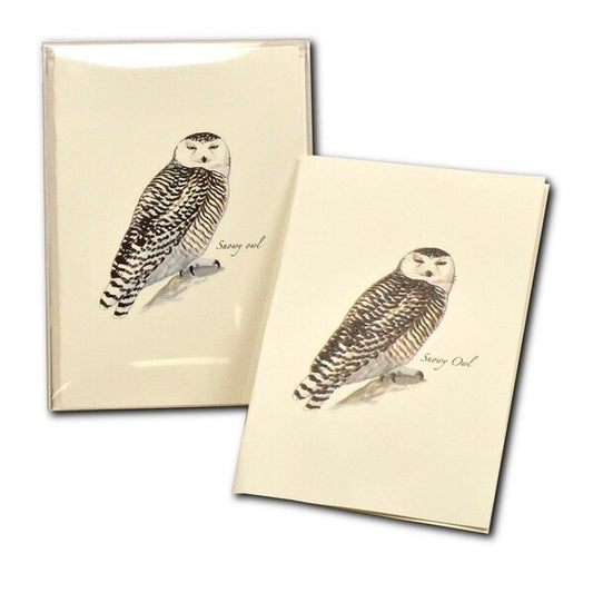 Sibleys Snowly Owl Envelopes