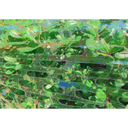 Film Air Flow Premium 19"x3300'