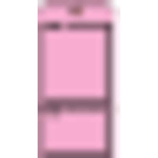 Blank Tag, 5-3/4 x 2-7/8 In, Pink, PK100