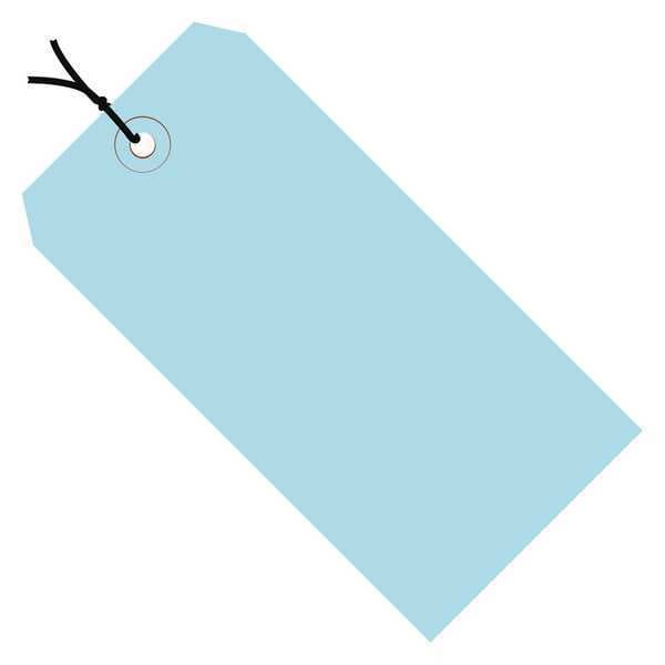Shipping Tags, Pre-Strung, 13 Pt., 3 1/4" x 1 5/8", Light Blue, 1000/Case