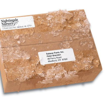 Avery® WeatherProof™ Mailing Labels with TrueBlock® Technology for Laser Printers 5520, 1" x 2-5/8", 1500PK