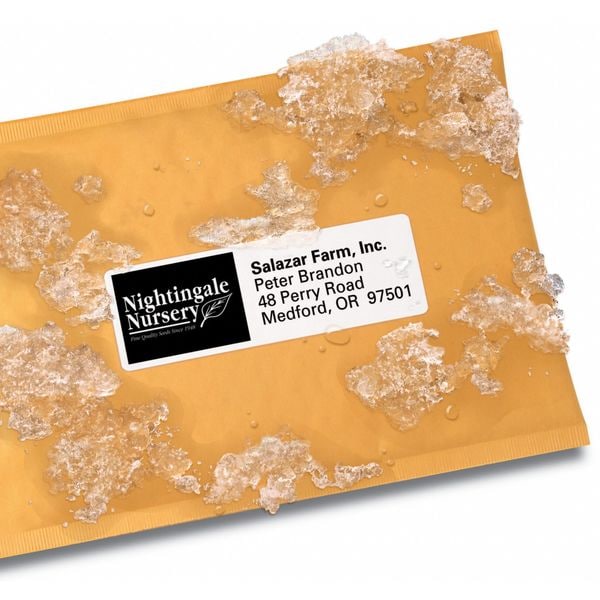 Avery® WeatherProof™ Mailing Labels with TrueBlock® Technology for Laser Printers 5522, 1-1/3" x 4", Box of 700