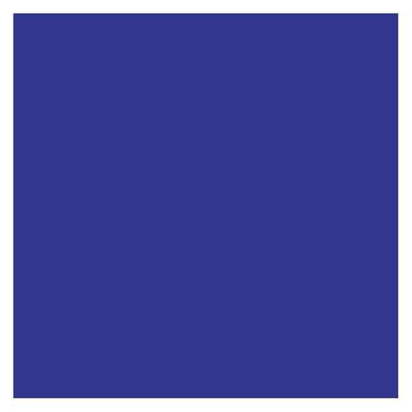 Tape Logic® Inventory Rectangle Labels, 4" x 4", Dark Blue, 500/Roll